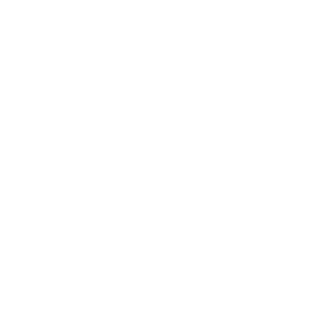 Leveo Logo